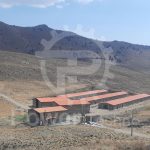 پروژه دام گستر پیشگام